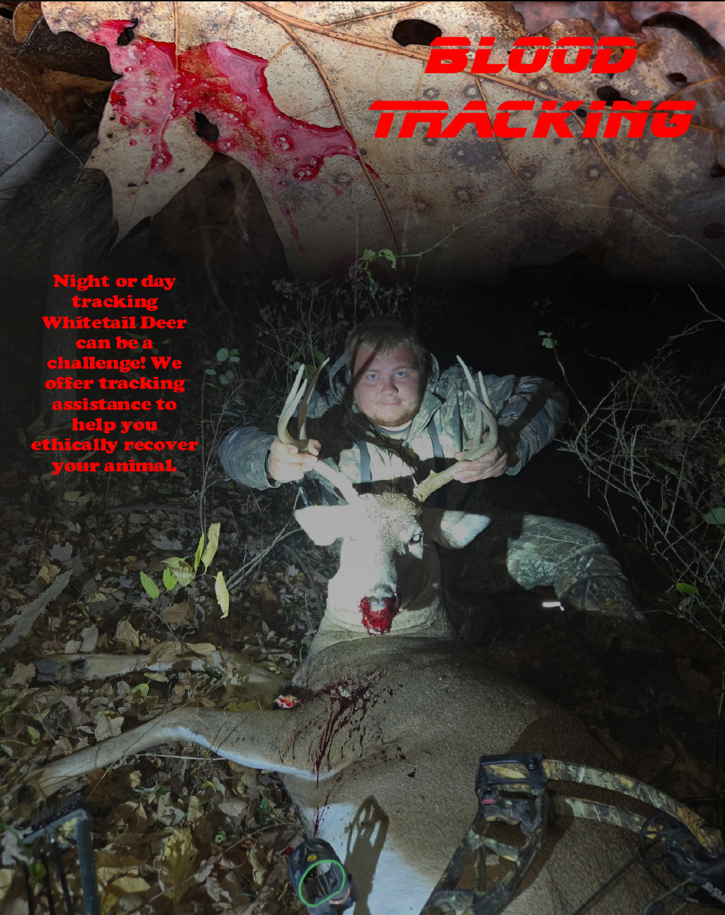 timber_ridge_get_found002001.jpg